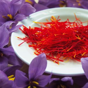 crocus-sativus-safran-3