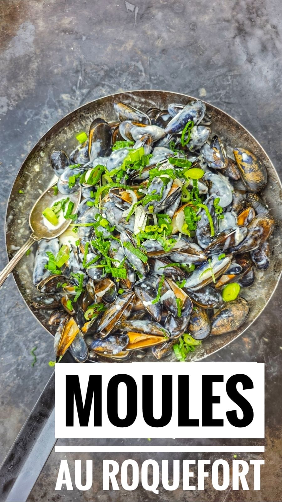 WhatsApp Image 2025-08-28 at 16.01.39